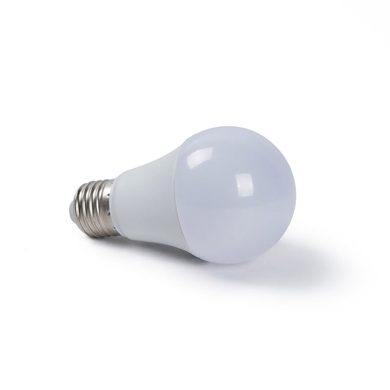 Bulb LED Glass E27 Daylight