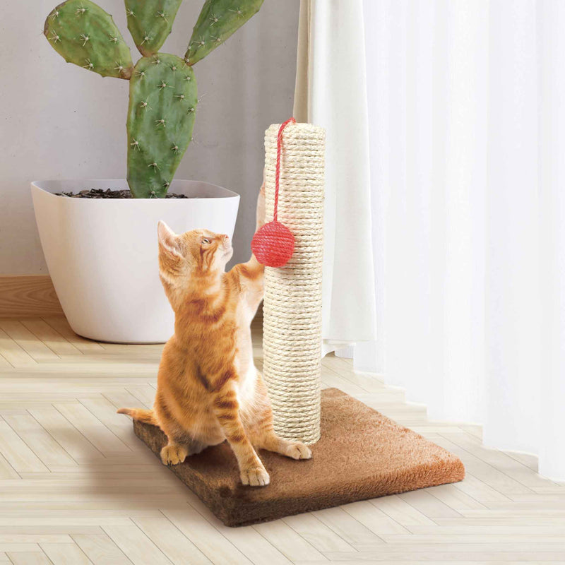 Cat Scratching Post