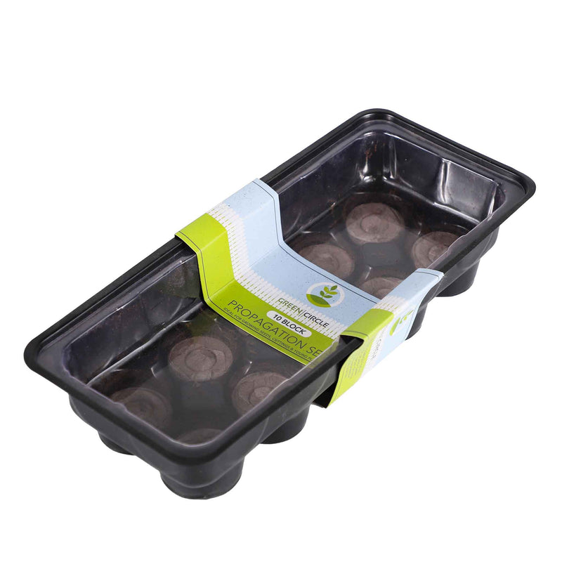 Compost Block In Seed Tray 10