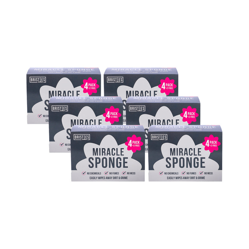 Wipe Away Sponge 4+2Free