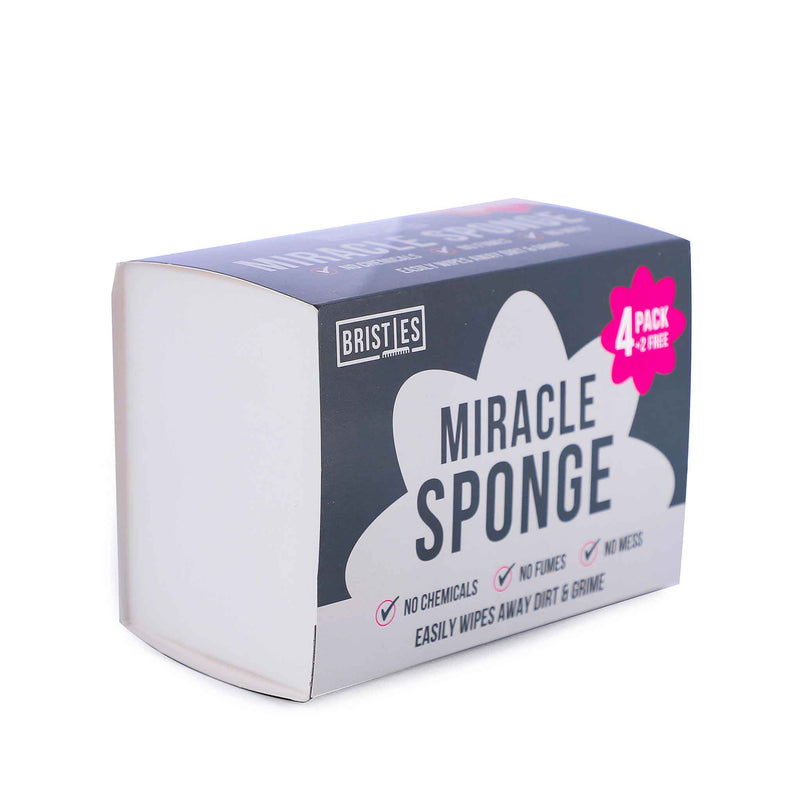 Wipe Away Sponge 4+2Free
