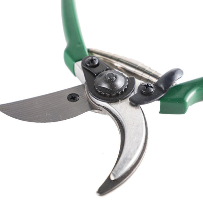 Bypass Pruner