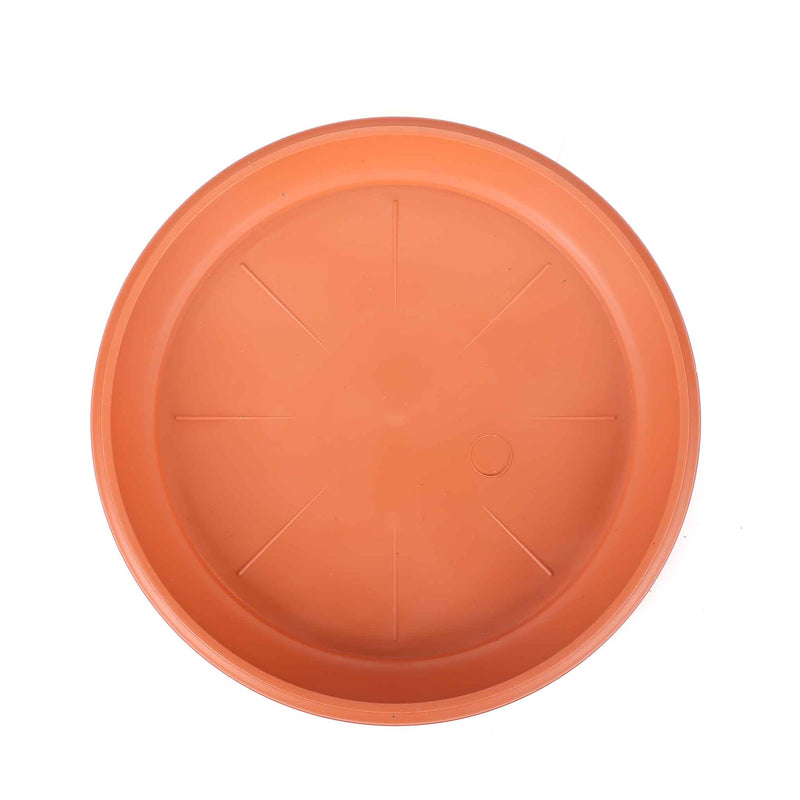 Small Saucer (23.5cm)