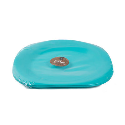 Picnic Plates Pack of 4