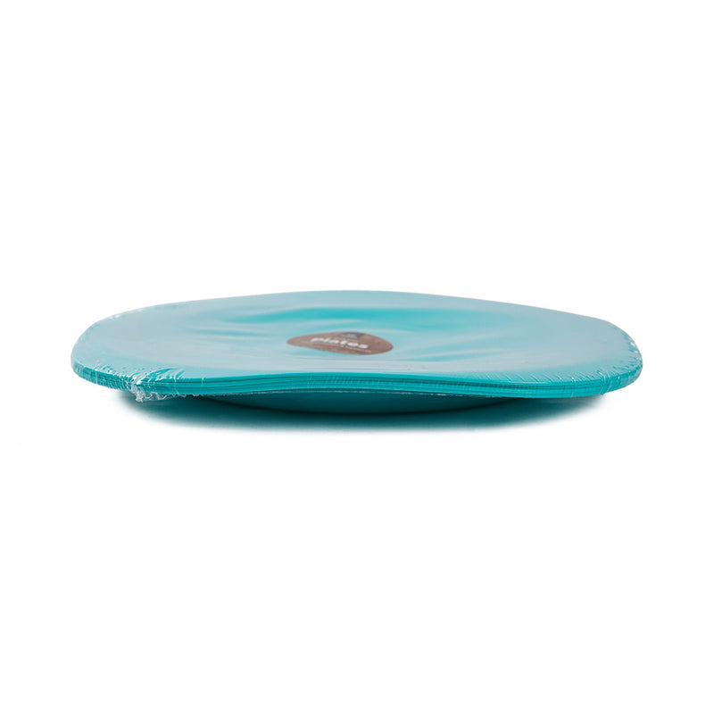 Picnic Plates Pack of 4
