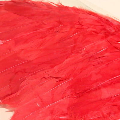 Adult Red Angel Feather Wings