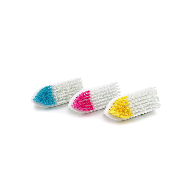 Bettina Iron Grip Scrubbing Brush Colour Assorted x 2PK