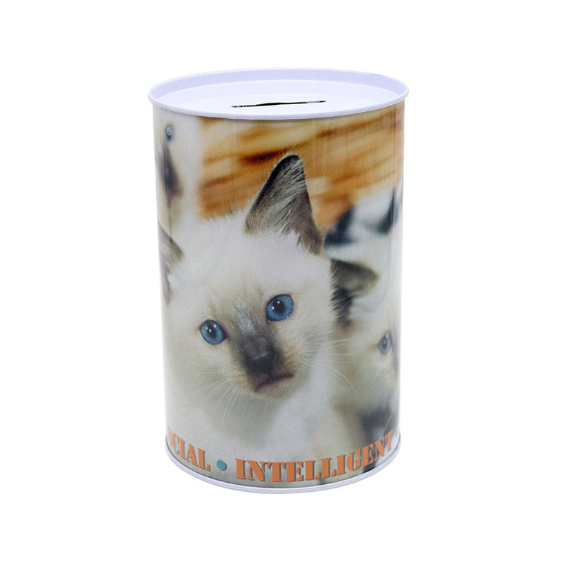 Cat Money Tin 100MM x 150MM