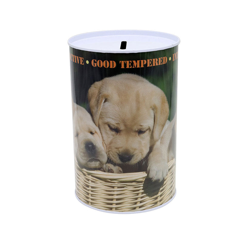 Dog Money Tin 100MM x 150MM