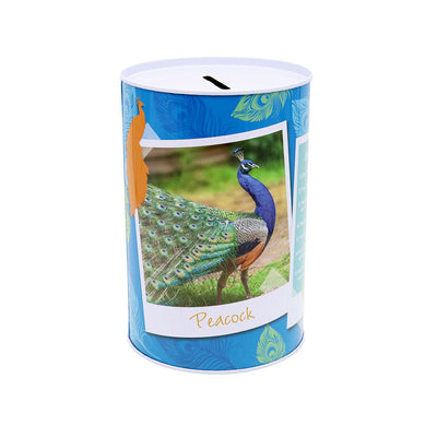 Birds Money Tin 100MM x 150MM