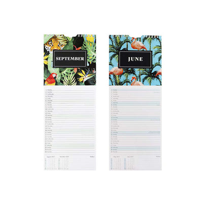 2025 Slim Month To View Illustrative Wall Calendar
