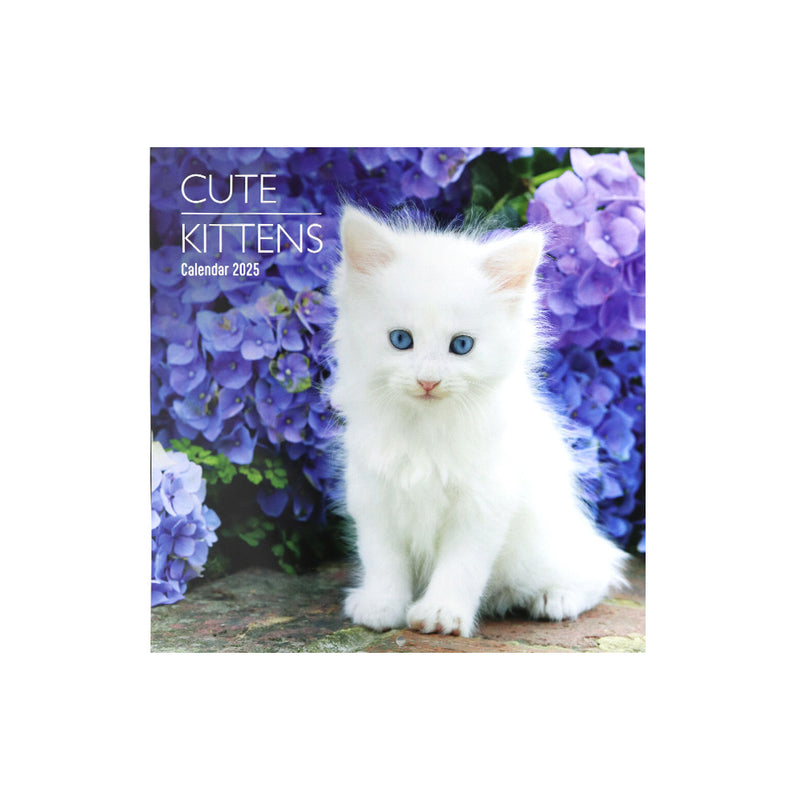 2025 Kittens & Puppy Square Month To View Wall Calendar