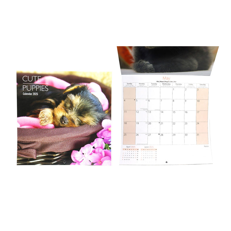 2025 Kittens & Puppy Square Month To View Wall Calendar