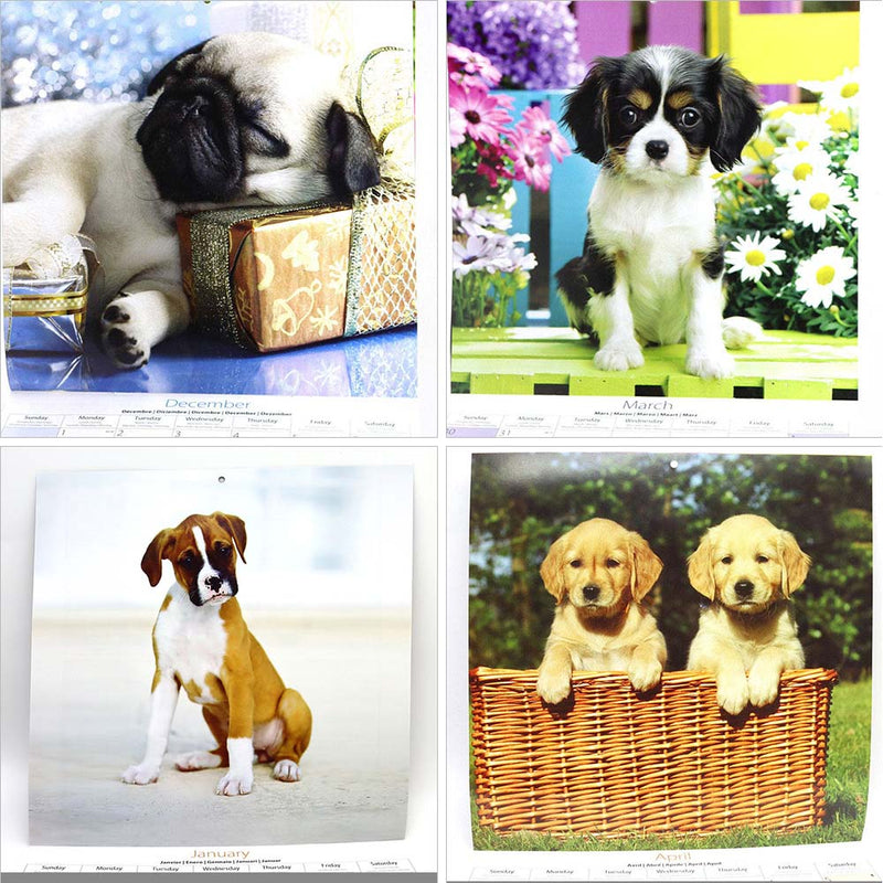 2025 Kittens & Puppy Square Month To View Wall Calendar