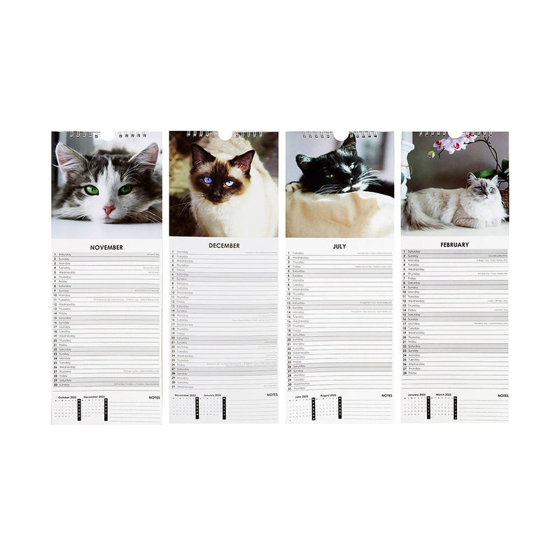 2025 Slim Month To View Hanging Wall Calendar Dog & Cat