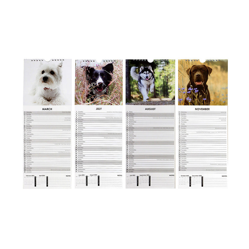 2025 Slim Month To View Hanging Wall Calendar Dog & Cat
