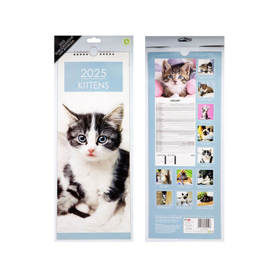 2025 Slim Month To View Hanging Wall Calendar Dog & Cat