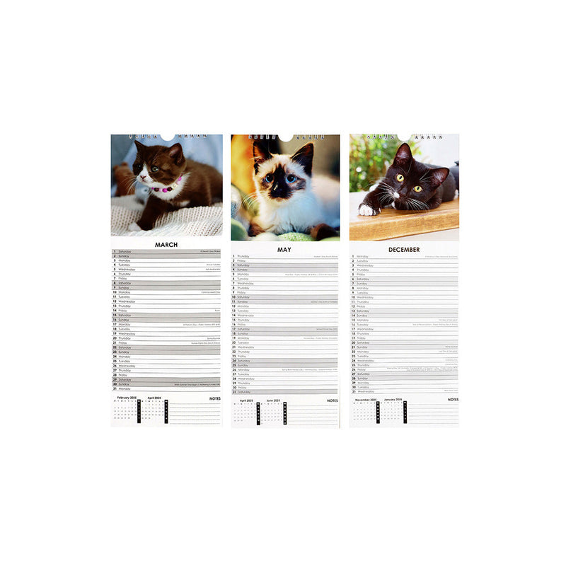 2025 Slim Month To View Hanging Wall Calendar Dog & Cat