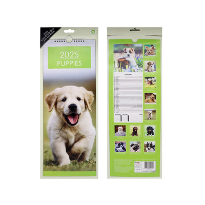 2025 Slim Month To View Hanging Wall Calendar Dog & Cat