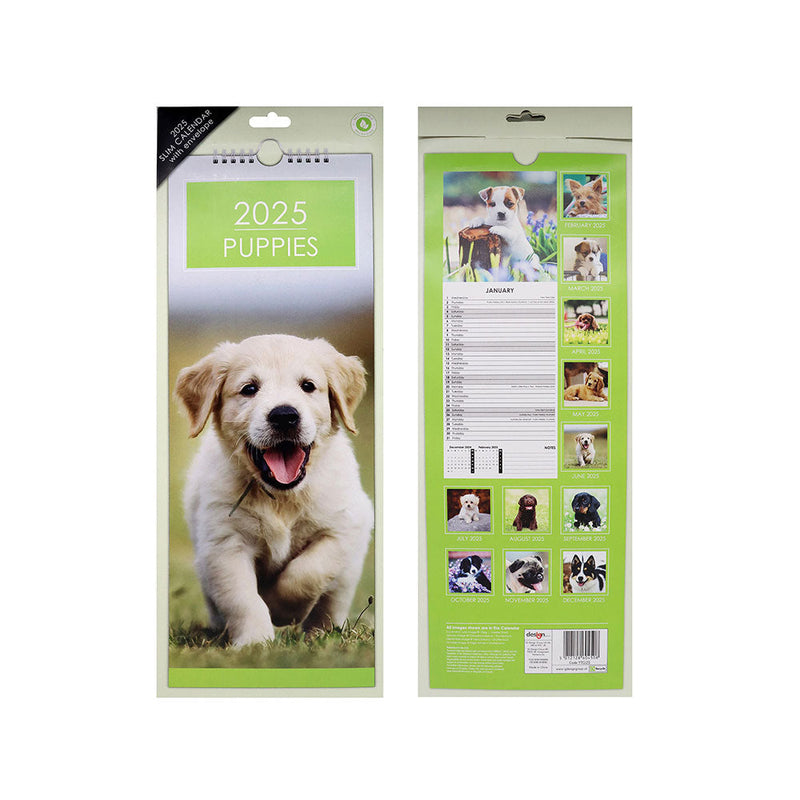 2025 Slim Month To View Hanging Wall Calendar Dog & Cat