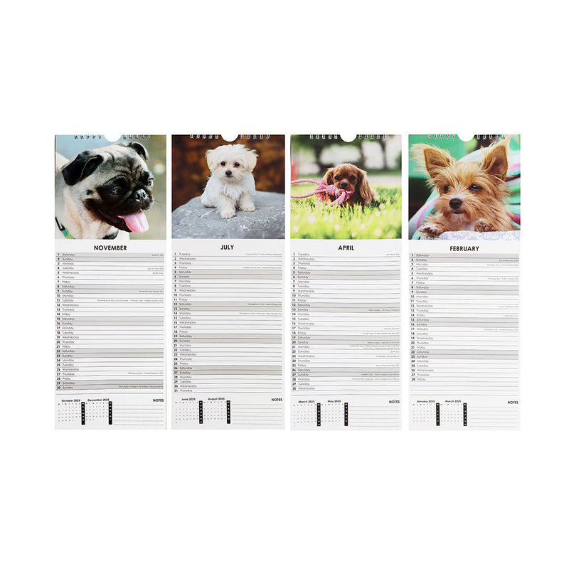 2025 Slim Month To View Hanging Wall Calendar Dog & Cat