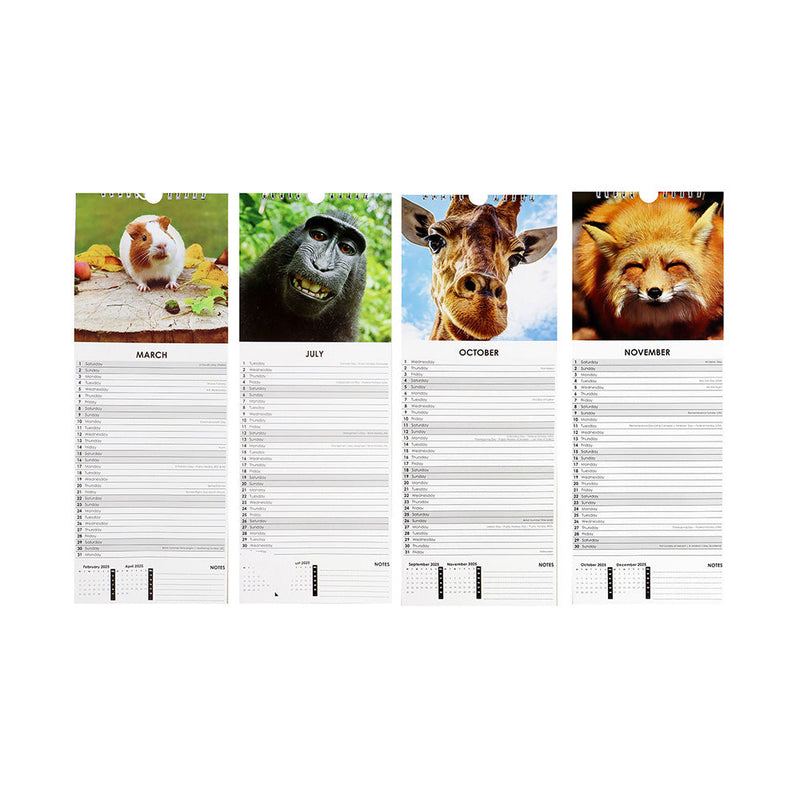 2025 Slim Month To View Hanging Wall Calendar Animals