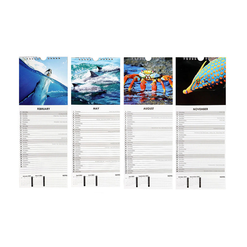 2025 Slim Month To View Hanging Wall Calendar Animals