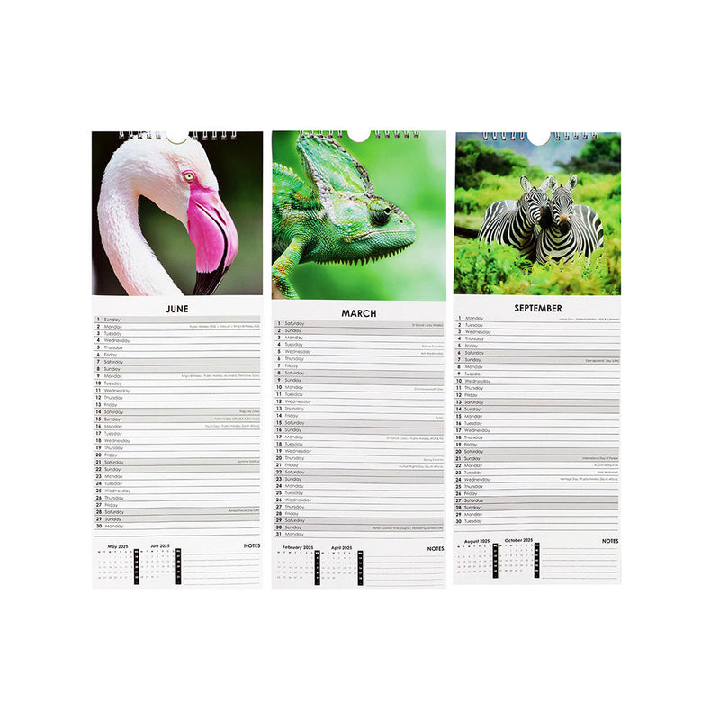 2025 Slim Month To View Hanging Wall Calendar Animals