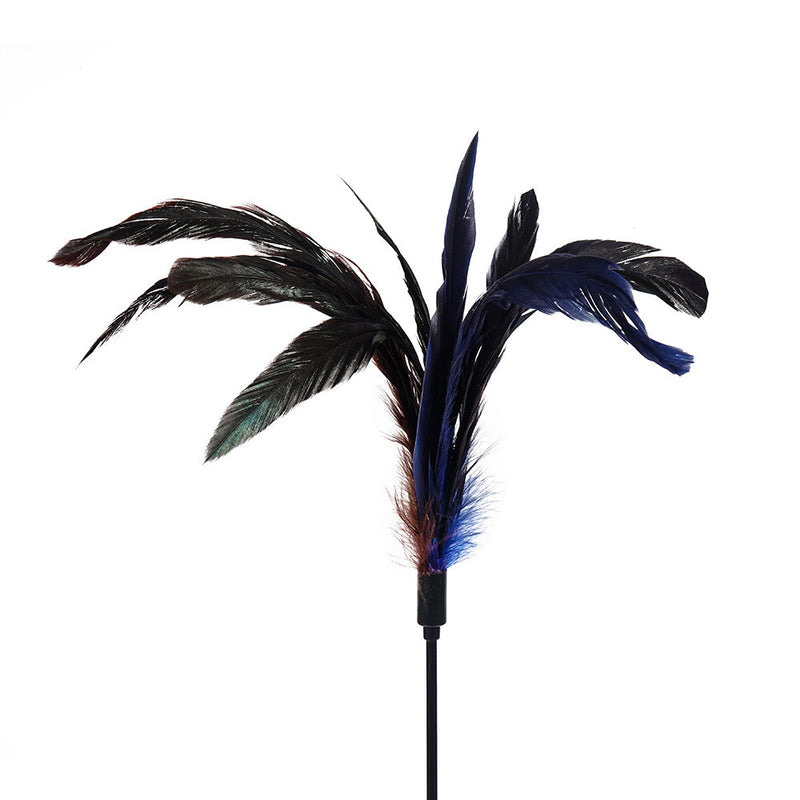 Feather Teaser Cat Toy