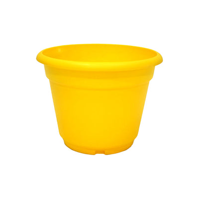 Plastic Summer Plant Pot 22cm x 18cm