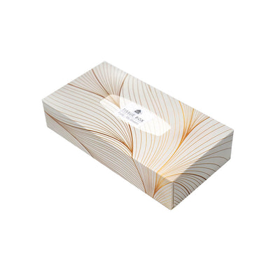 2Ply Tissue Box 100 Sheets