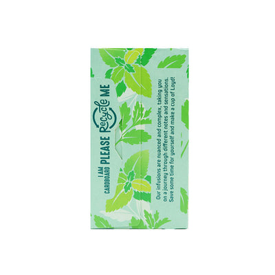 Loyd Pure Peppermint Herbal Tea Bag 40S x 4PK