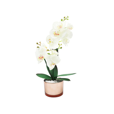 40cm Orchid With Cream & Gold Glass Pot