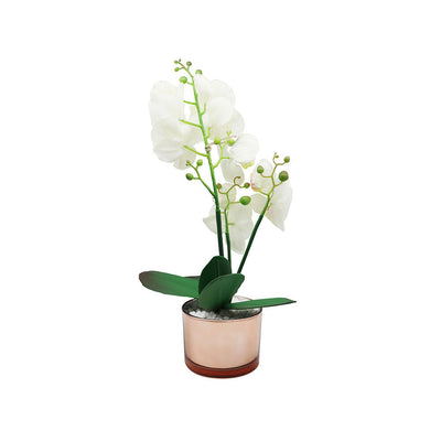 40cm Orchid With Cream & Gold Glass Pot