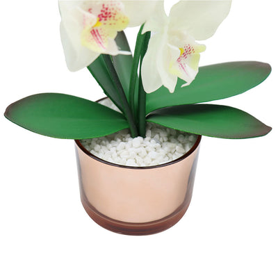 40cm Orchid With Cream & Gold Glass Pot