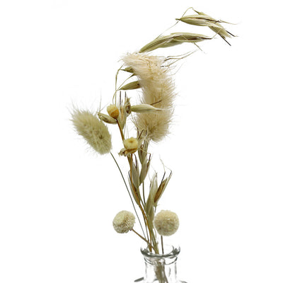 Dried Grasses & Flowers in Square Glass Vase