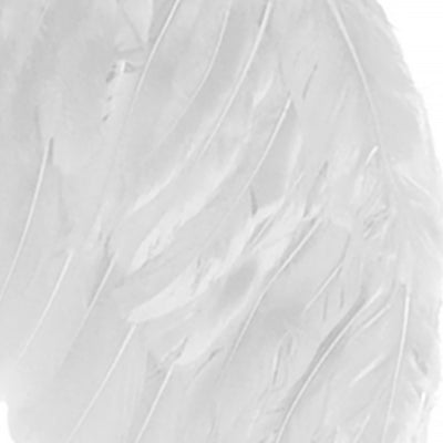 Adult White Angel Feather Wings
