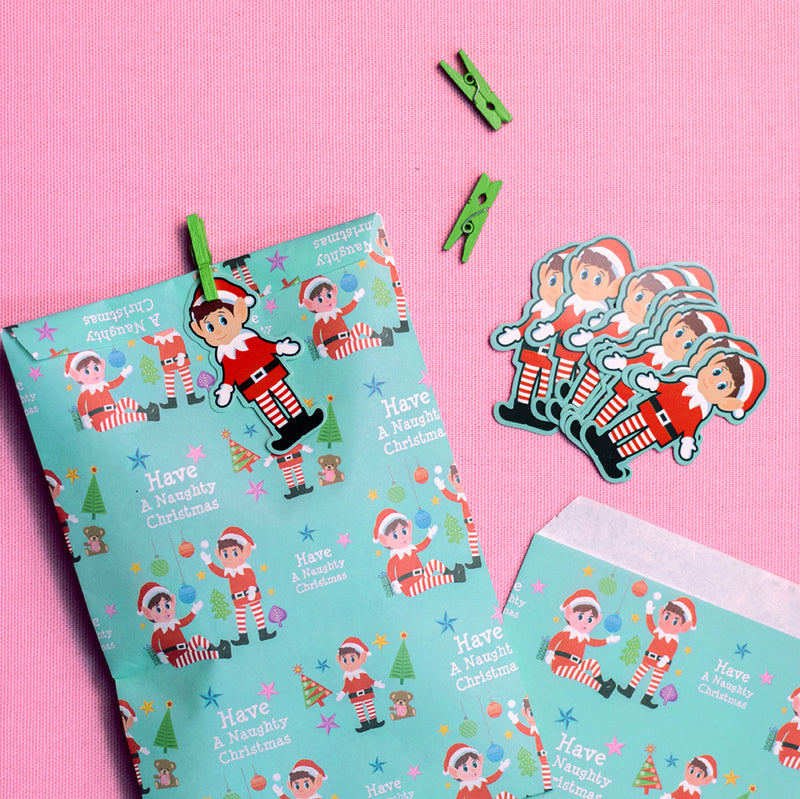 Mini Paper Elf Treat Bags With Pegs & Tags 10PK