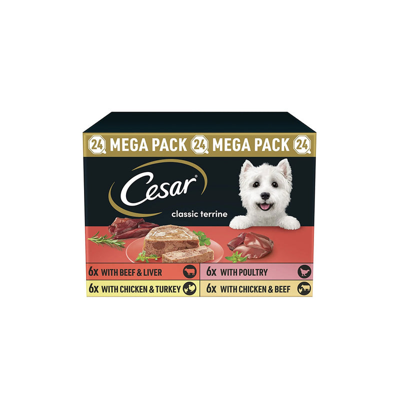 Cesar Classic Terrine Adult Dog Food Trays Mixed Selection In Jelly 24 x 150g