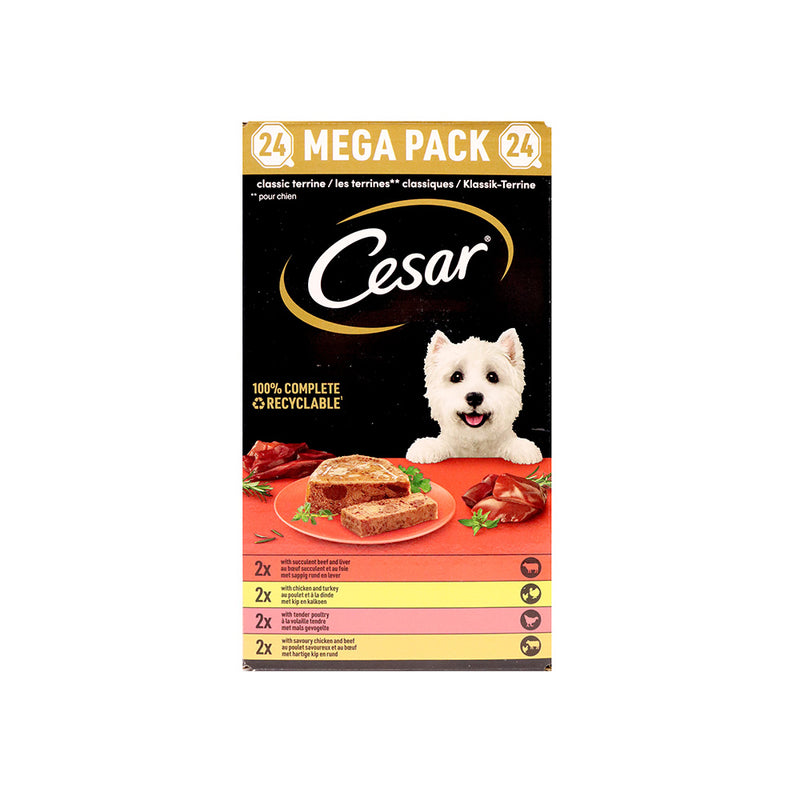 Cesar Classic Terrine Adult Dog Food Trays Mixed Selection In Jelly 24 x 150g