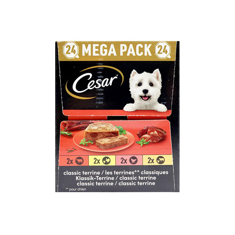 Cesar Classic Terrine Adult Dog Food Trays Mixed Selection In Jelly 24 x 150g