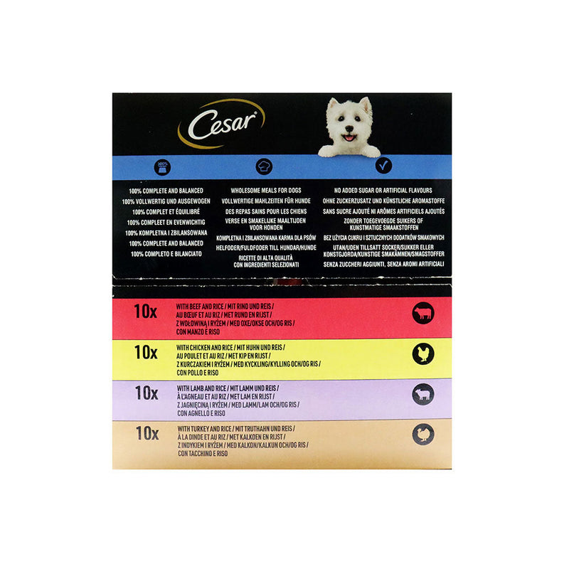 Cesar Senior Dog Food Pouches Sauce Mixed Selection In Jelly 40x100g