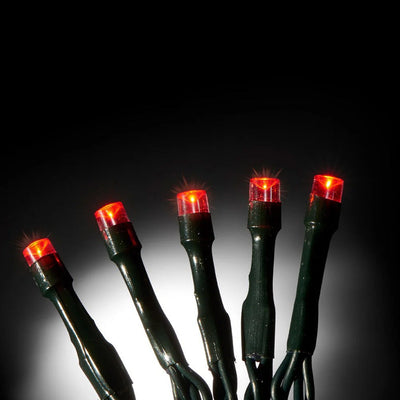 20 Red Indoor String Lights with Green Cable 2.2M