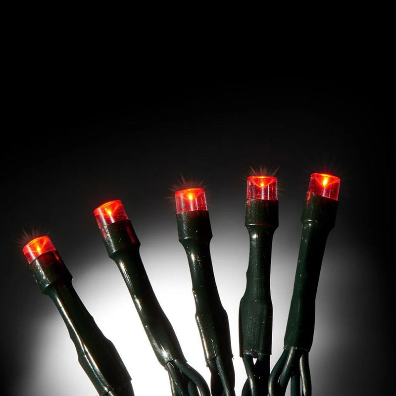 20 Red Indoor String Lights with Green Cable 2.2M