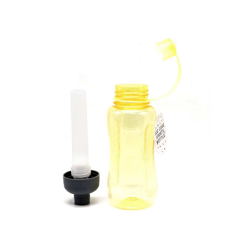 Sports Bottle With Ice Core 550ML