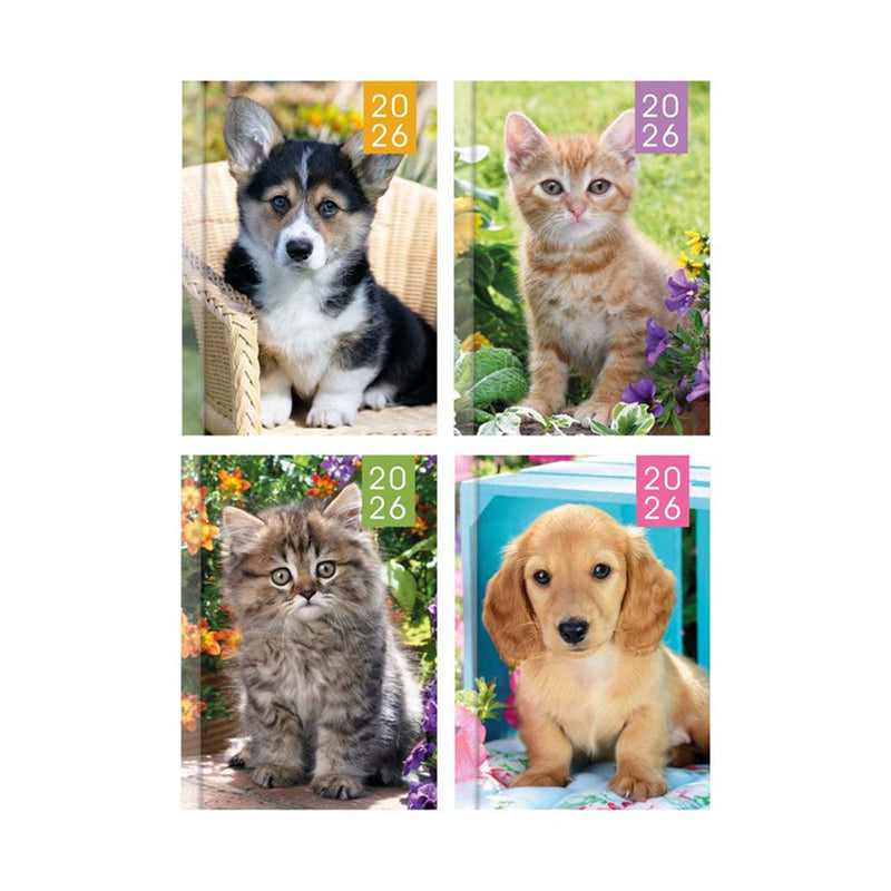 2026 Puppies & Kittens Photo Slim Diary Week To View