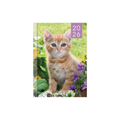 2026 Puppies & Kittens Photo Slim Diary Week To View