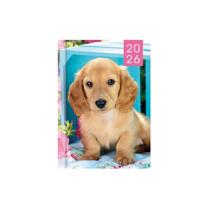 2026 Puppies & Kittens Photo Slim Diary Week To View