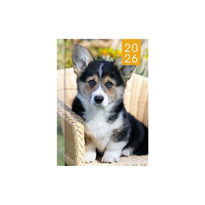 2026 Puppies & Kittens Photo Slim Diary Week To View