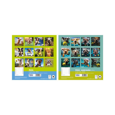 2026 Fetch Dogs Playing Ball Square Wall Calendar